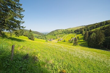 Landscape in southern Germany at the "Wiedener Eck, Baden-Württemberg" in summer.