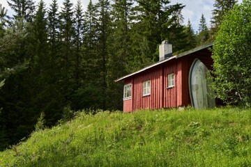 the house sits on a steep green hill near trees, looking towards the sky