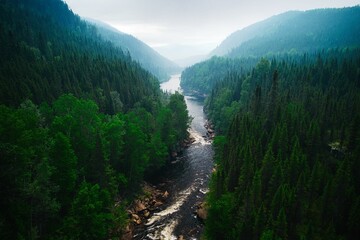 Naklejka premium Aerial view of The Malbaie River surrounded by greenery in Quebec, Canada