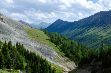 Fototapeta premium park state