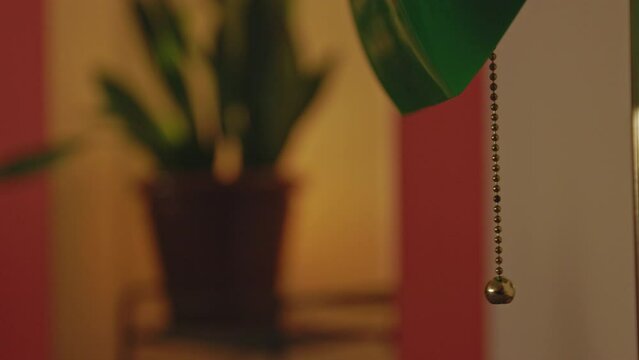 Person Turning Off The Lamp At Home With A Potted Plant On The Blurry Background