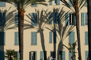 Palm tree shadow on Mediterranean building facade
