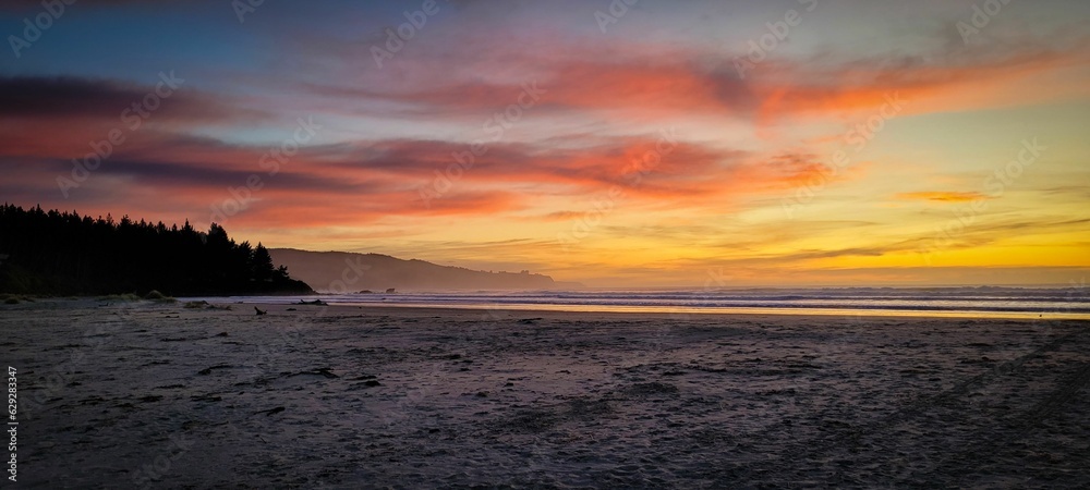 Canvas Prints Beautiful sunset over a secluded beach with a pine forest in the background