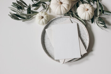 Thanksgiving, Halloween still life composition. Blank greeting, menu card. Invitation mockup. Ceramic plate, white little pumpkins, olive tree leaves and branches isolated on table background. Flatlay
