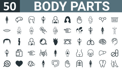 set of 50 outline web body parts icons such as human, spleen human body part, female blond hair shape, man holding a hand bones x ray image, lungs inside the human body, long wavy hair variant,