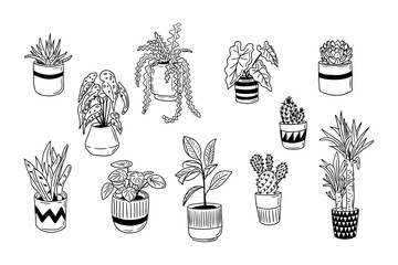 Set of hand drawn home plants doodles. Vector isolated outline elementds on white background. Cactus, begonia, dracaena in ceramic pots. Sketch design. Perfect for coloring pages, stickers, tatoo.