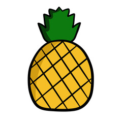 pineapple illustration