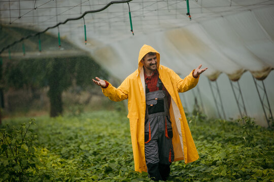 Farmer with a raincoat in a modern hothouse with an advanced system of irrigation and plant care