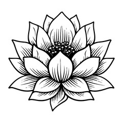 Lily flower woodcut print style vector