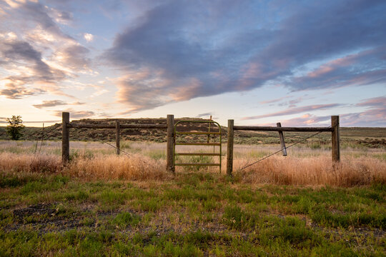 Gate to Corral at Lakeview Ranch