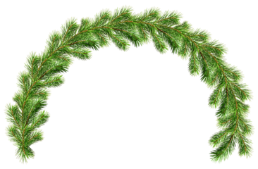 Green Christmas pine twig in an arch arrangement isolated on white or transparent background