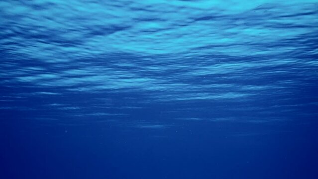 Underwater view of blue water surface during calm, Slow motion. Calm surface of blue water on bright sunny day. Natural blue water background. Beautiful clear blue water surface