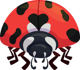 Fototapeta na wymiar Ladybug front view coccinellid red insect with black dots paws and antennae vector flat illustration