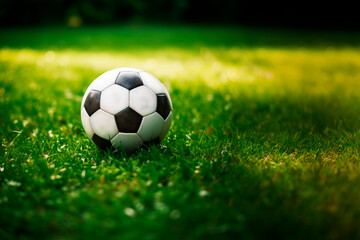 soccer ball on green grass