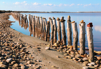 Pieux en bois faisant office de brise-lames sur la digue à la mer en Camargue.