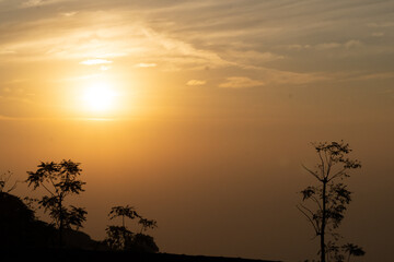 Fototapeta na wymiar Tree silhouette and sunrise