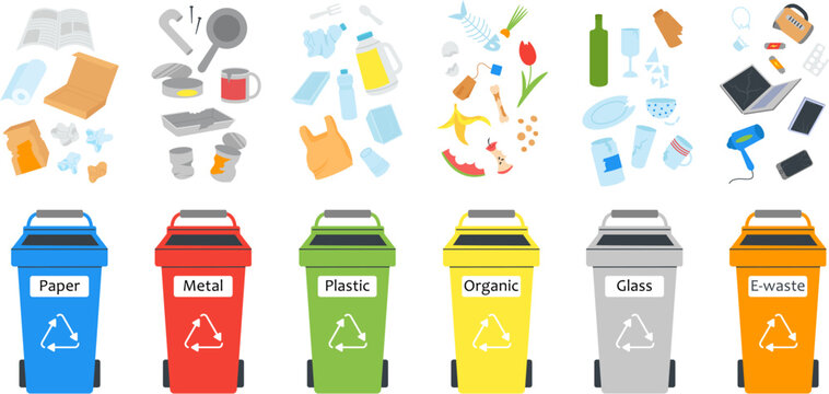 Waste separated in different bins. Organic materials, disposable item and paper trash. Garbage recycle management, containers decent vector info
