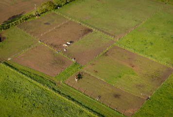 Aerial view of horse paddocks in the countryside in Kent, UK - obrazy, fototapety, plakaty