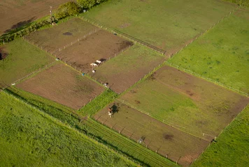 Foto op Plexiglas Aerial view of horse paddocks in the countryside in Kent, UK © smartin69