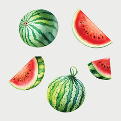  Set of watermelon watercolor paint