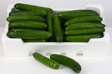 Image of a bunch of cucumber