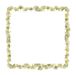 ginkgo leaves watercolor illustrations