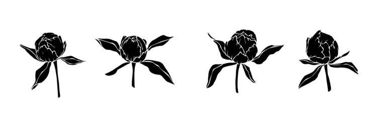 Obraz premium Set of silhouettes of peony flowers and buds.Vector graphics.