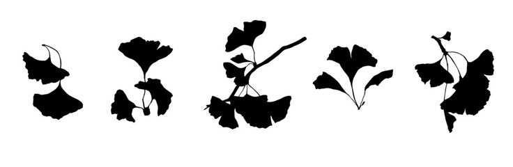 Set of ginkgo leaf silhouettes. Vector graphics.