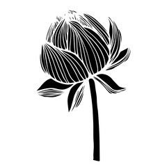 Lotus flower silhouette.Vector graphics.