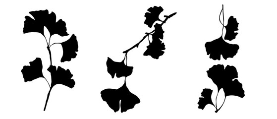 Set of ginkgo leaf silhouettes. Vector graphics.