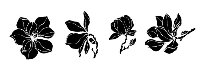 Set of silhouettes of magnolia flowers and buds.Vector graphics.