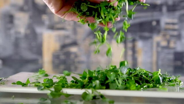 A bunch of freshly cut microgreens of radish sango,sunflower and watercress salad on chopping board.Top view, slow motion, close-up.The concept of healthy eating,vegan concept.Home gardening. 