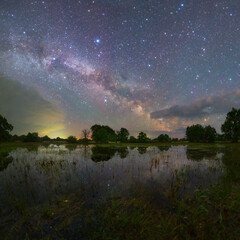 Starry night landscape