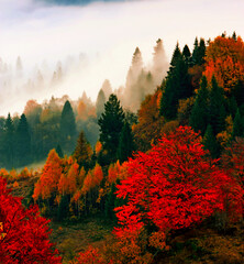 wonderful autumn sunrise image in mountains, autumn morning dawn, nature colorful background,...