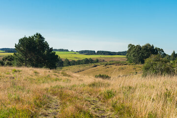 Fototapeta premium Hilly countryside view in Sao Francisco de Paula, Rio Grande do Sul - Brazil