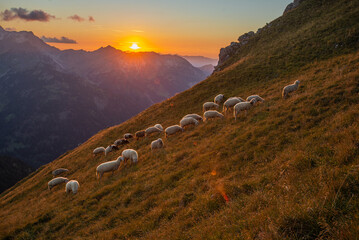 sunset in the mountains