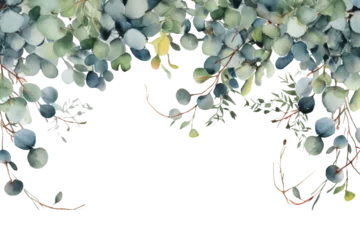 captivating watercolor border frame with eucalyptus twigs isolated against transparent background © bmf-foto.de