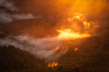 The setting sun's light really makes the rising steam burn in the Waldprechtstal in the Black Forest