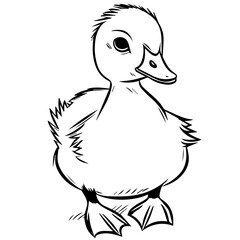 Goslin coloring page illustration