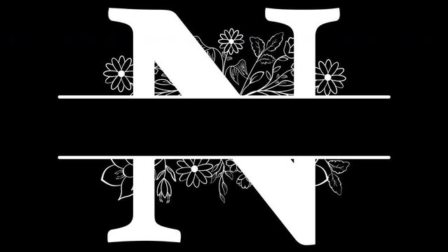 Letter N Monogram, with ALPHA Channel (Transparent Background) In 4K Resolution