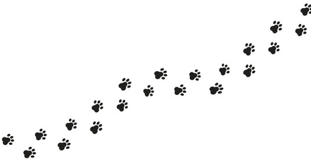 Paw vector foot trail print of cat. Dog, puppy silhouette animal diagonal tracks for t-shirts, backgrounds, child prints and etc.