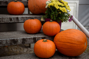 Large pumpkin on the marble steps of the porch of the house. Halloween decoration.