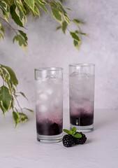 Food photography of  blackberry drink; soda; beverage; refreshment; mocktail; fresh; freshness; background; bar; celebration; delicious