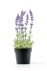 Artificial flower in flower pot isolated on white background. Artificial plastic house plant