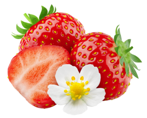 Strawberry isolated on white background, full depth of field