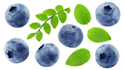 Blueberry isolated on white background, full depth of field