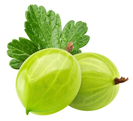 Gooseberry isolated on white background, full depth of field