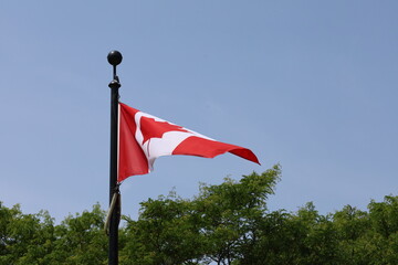 Canadian flag flying above the trees