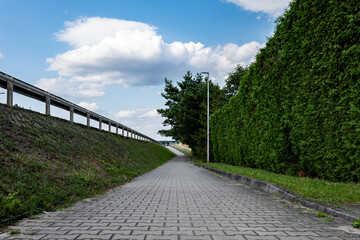 Ścieżka chodnikowa wokół zieleni w okołowiejskich terenach zachodniej Polski w letniej porze przy niemal błękitnym niebem i umiarkowanym zachmurzeniem - obrazy, fototapety, plakaty