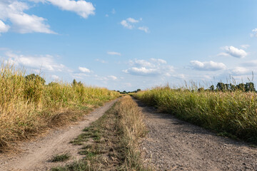Fototapeta na wymiar polna droga pośrodku zariśli łąk i pól, krajobraz wiejski w rejonie zachodniej polski a w tle zielone drzewa błękitne niebo
